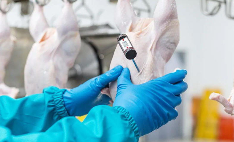 й̫ɼ-www.tyc33455cc.com-Official website