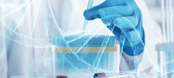 й̫ɼ-www.tyc33455cc.com-Official website